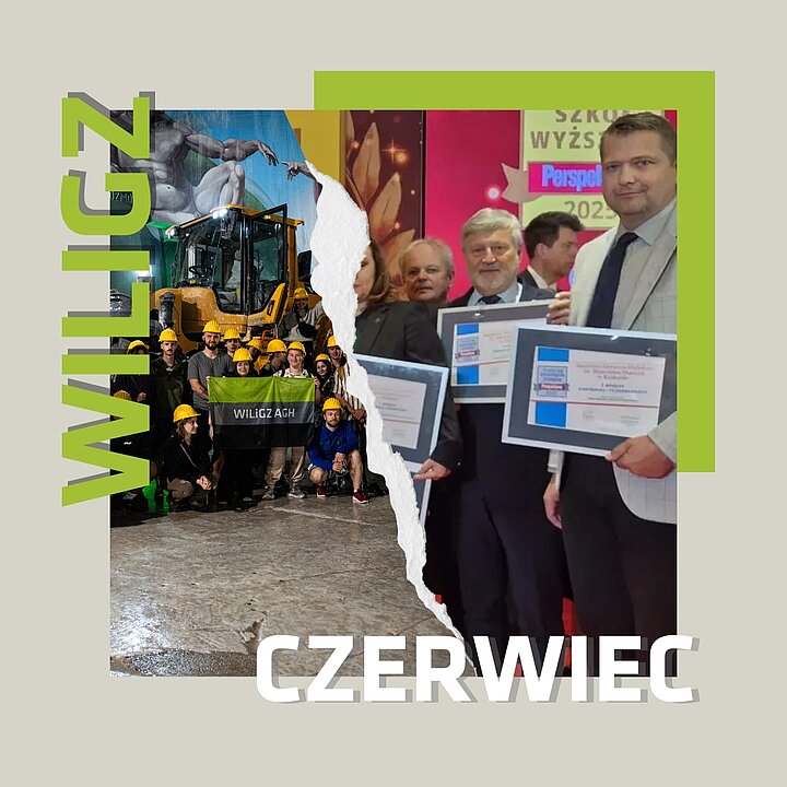 grafika czerwiec WILGZ