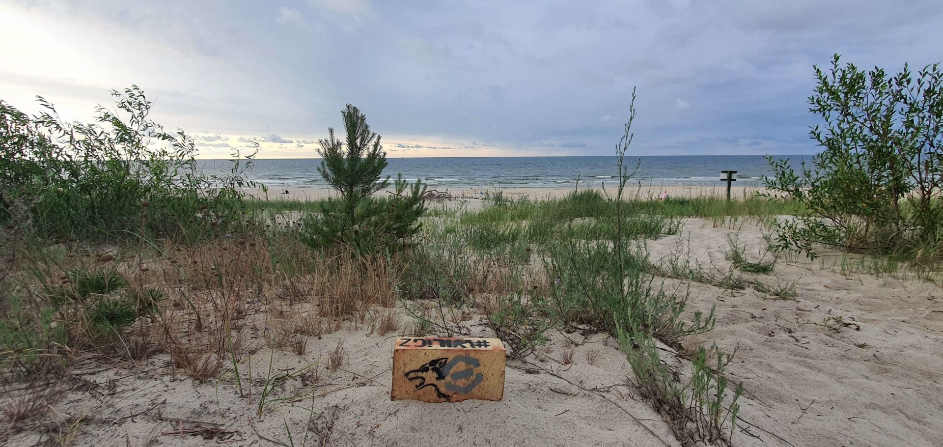 Pomalowana cegła z szarym logiem WRSS oraz czarnym kształtem wilka leży na plaży porośniętej niewielką ilością zieleni. Przed nią fale morza.