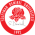 Logo Suleyman Demirel University.