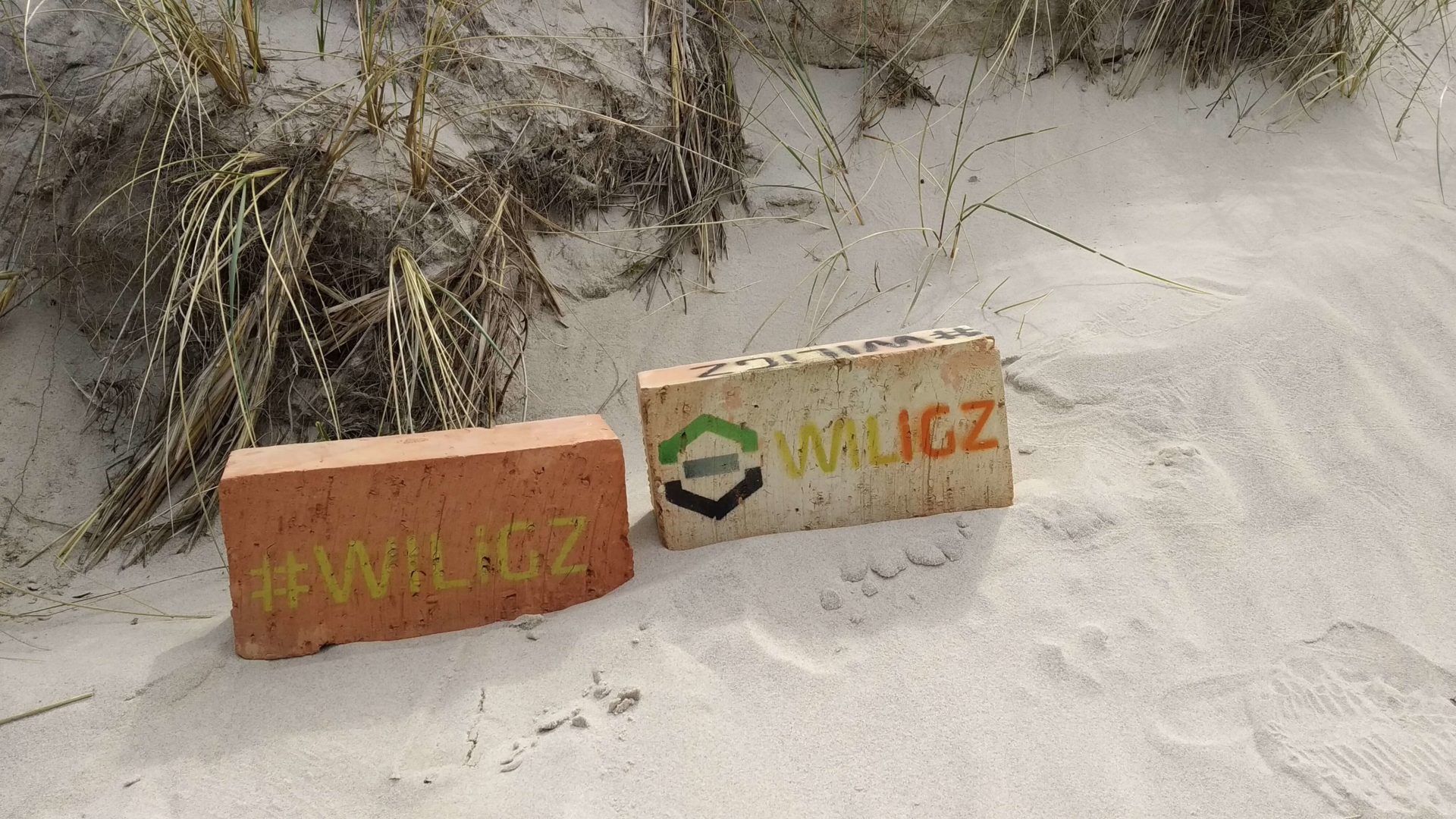 Dwie cegły leżące obok siebie na piasku. Na lewej cegle narysowane jest zielone logo AGH na prawej logo w barwach wydziałowych i kolorowy napis WILiGZ