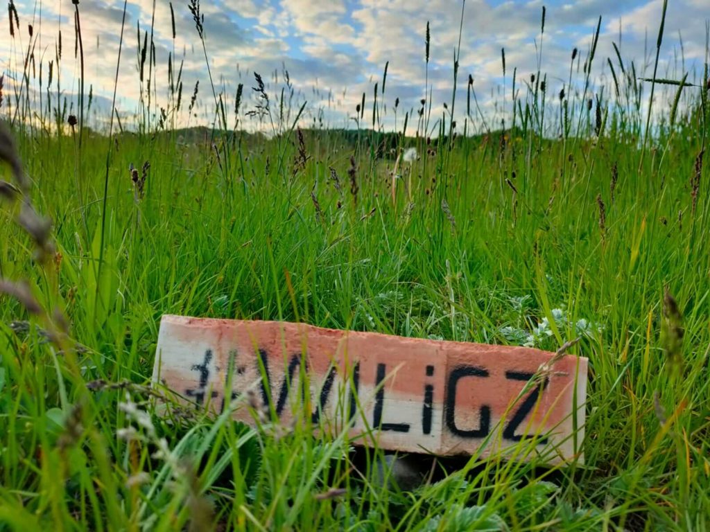 Cegła z czarnym hszatagiem i napisem WILiGZ leży w gęstej długiej trawie.