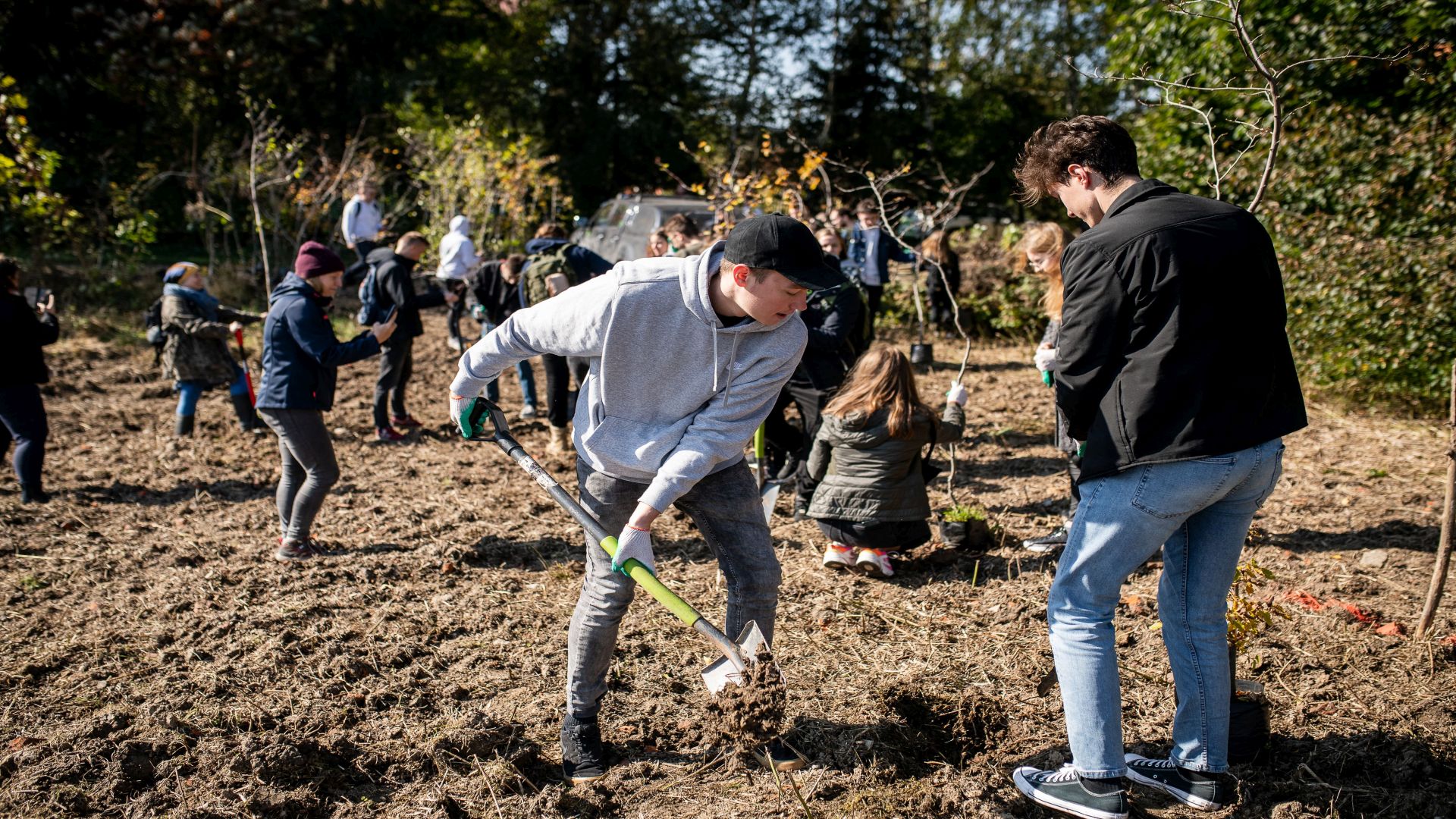Studentki i studenci wraz z pracownikami i dziećmi z pobliskiej szkoły sadzą małe drzewka do przygotowanego gruntu.