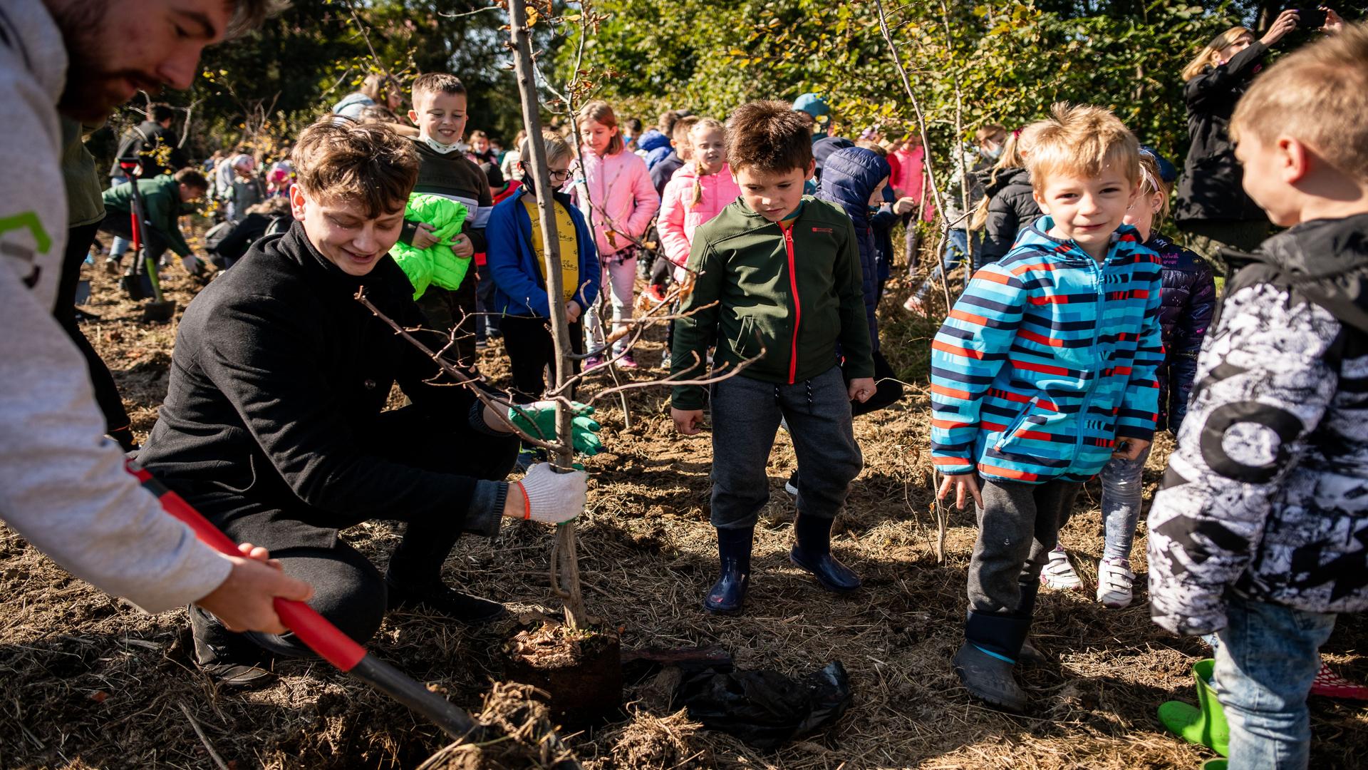 Dwóch studentów pomaga we włożeniu rozłożystej sadzonki uśmiechniętym dzieciom z pobliskiej szkoły. W tle dzieci, studenci i pracownicy podczas sadzenia innych drzewek.