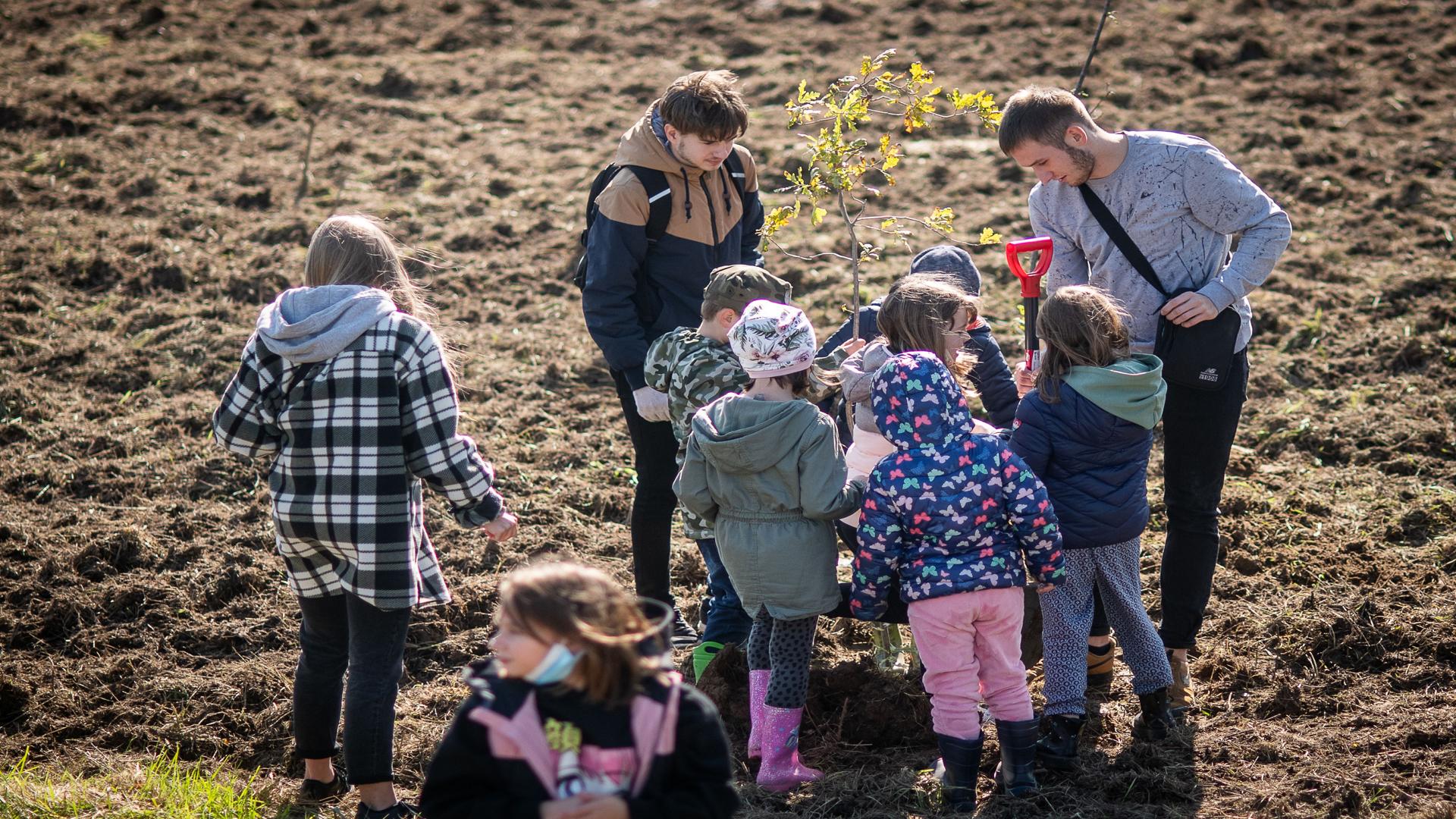 Dwóch studentów pomaga piątce kolorowo ubranych dzieci przy sadzeniu rozłożystej sadzonki.