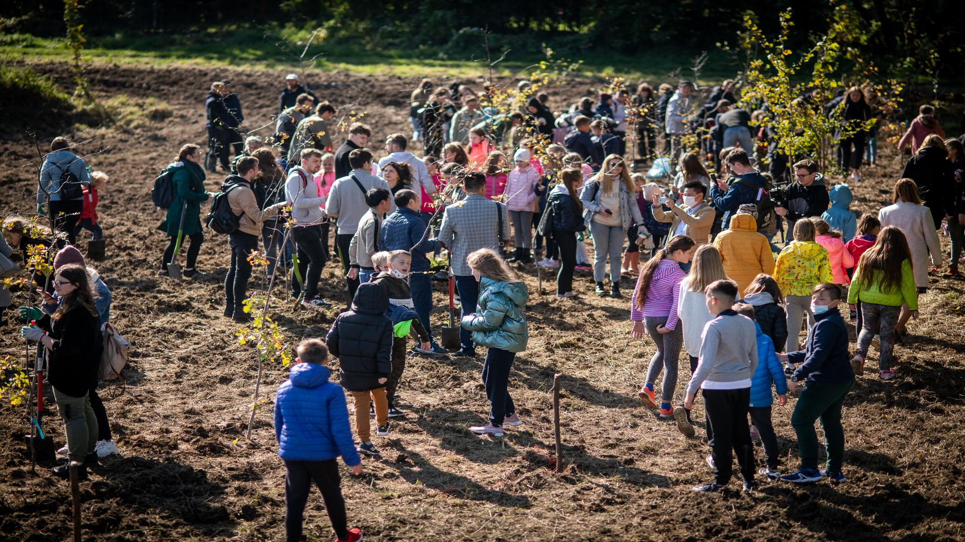 Pracownicy, studenci, studentki oraz dzieci z pobliskiej szkoły podczas sadzenia rozłożystych sadzonek.