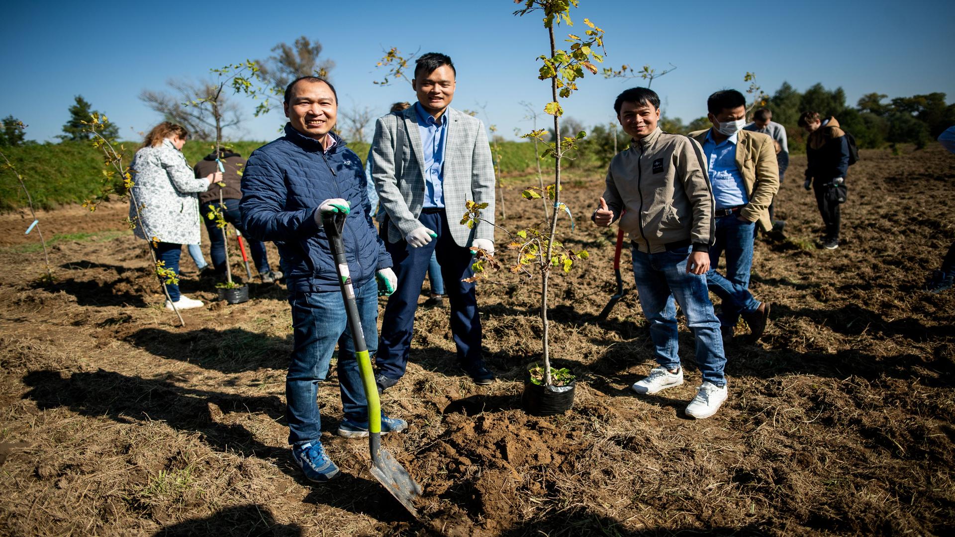 Czterech uśmiechnięteych zagranicznych studentów podczas sadzenia drzewka.