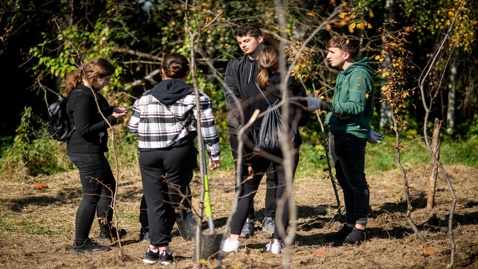 Trzy studentki oraz dwóch studentów stoją obok siebie trzymając łopaty i rozmawiając ze sobą podczas sadzenia sadzonek. W oddali obok działki na której są sadzone drzewa widać skraj lasu.