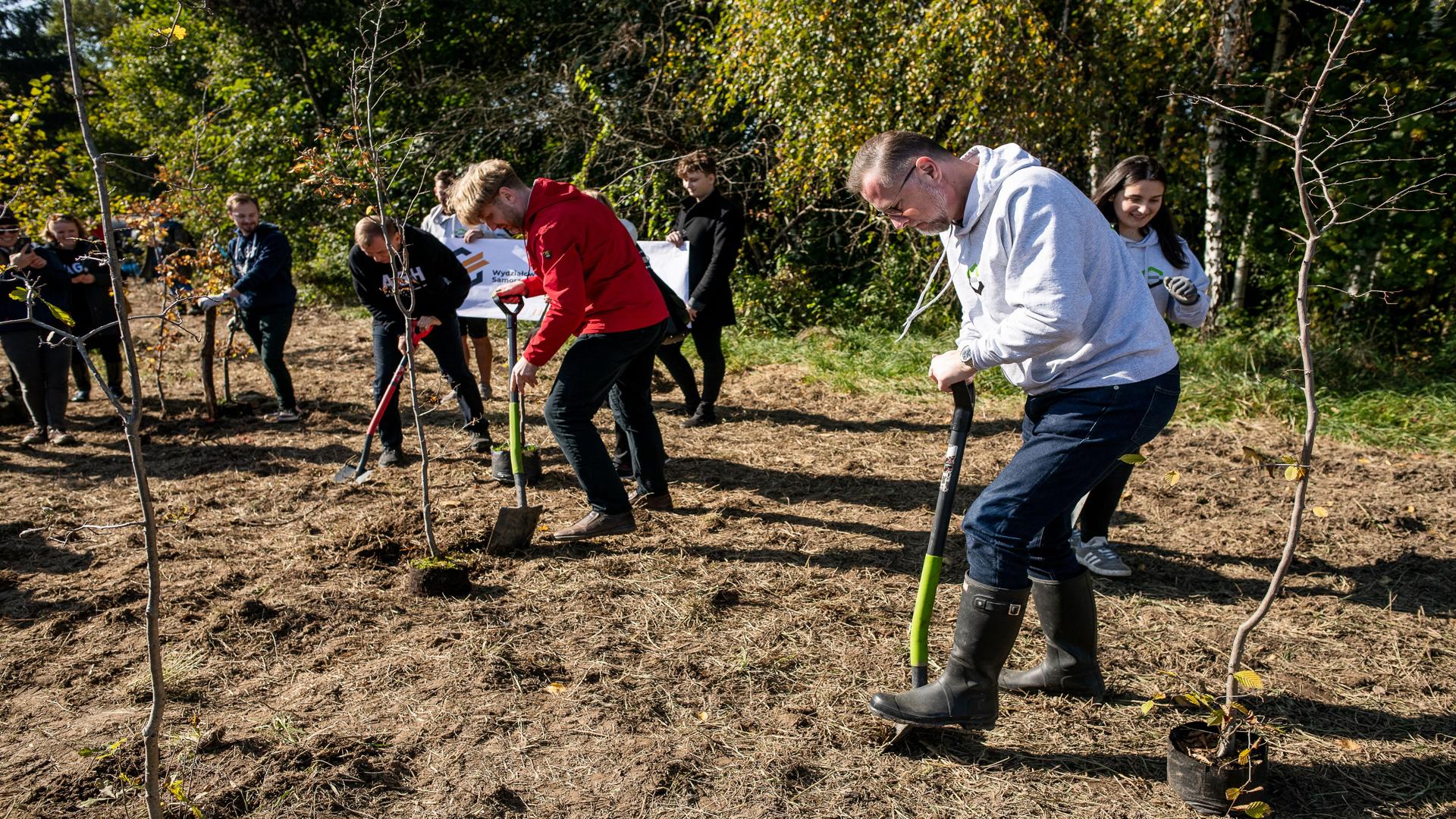 Dziekan wydziału prof. Marek Cała w szarej bluzie wydziałowej, wraaz z przedstawicielem miasta Krakowa oraz rektorem AGH wbijają łopatę i rozpoczynają sadzenie drzewek. Z tyłu przyglądają się studentki i studenci.