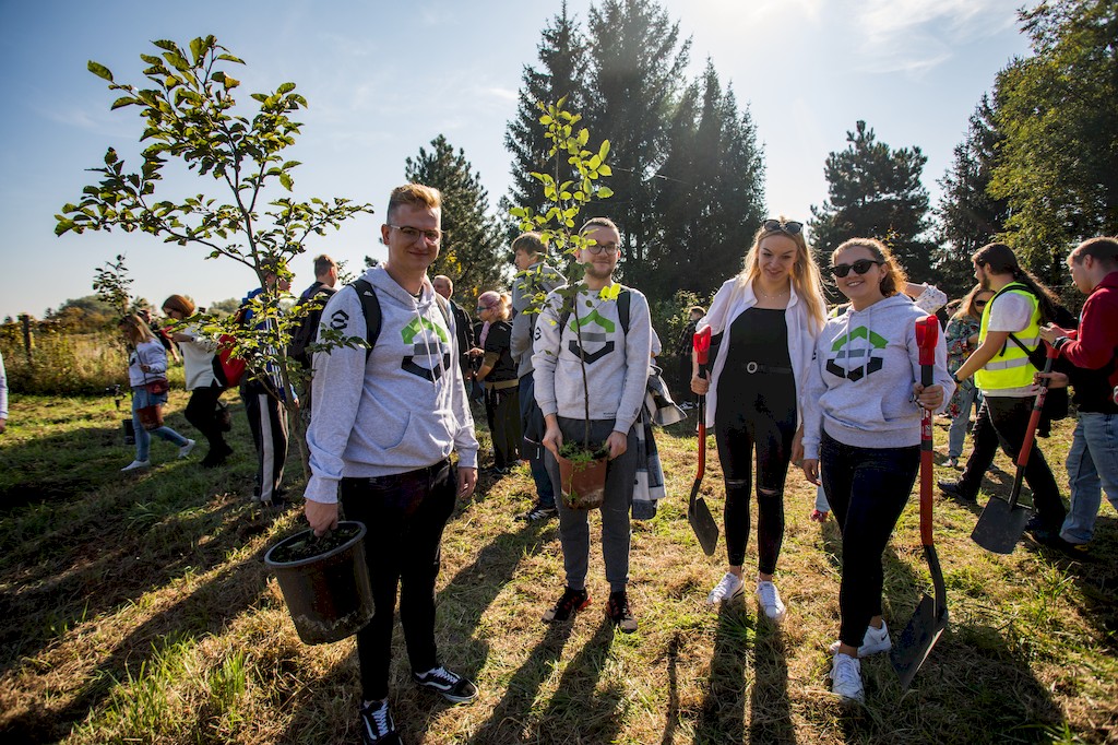 Czworo studentów w szarych bluzach z logo wydziału stoi trzymając łopaty lub sadzonki drzew w doniczkach