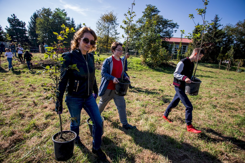 Kobieta i dwu licealistów idą niosąc sadzonki drzewek